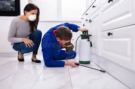 Best Fumigation Services  in Adamsville, AL