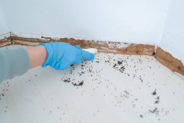 Best Pest Exclusion Services  in Adamsville, AL